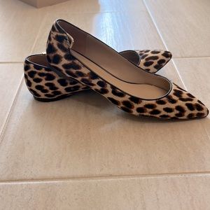 Tory Burch Elizabeth Pointed Toe Printed Hair Calf Leather Flats